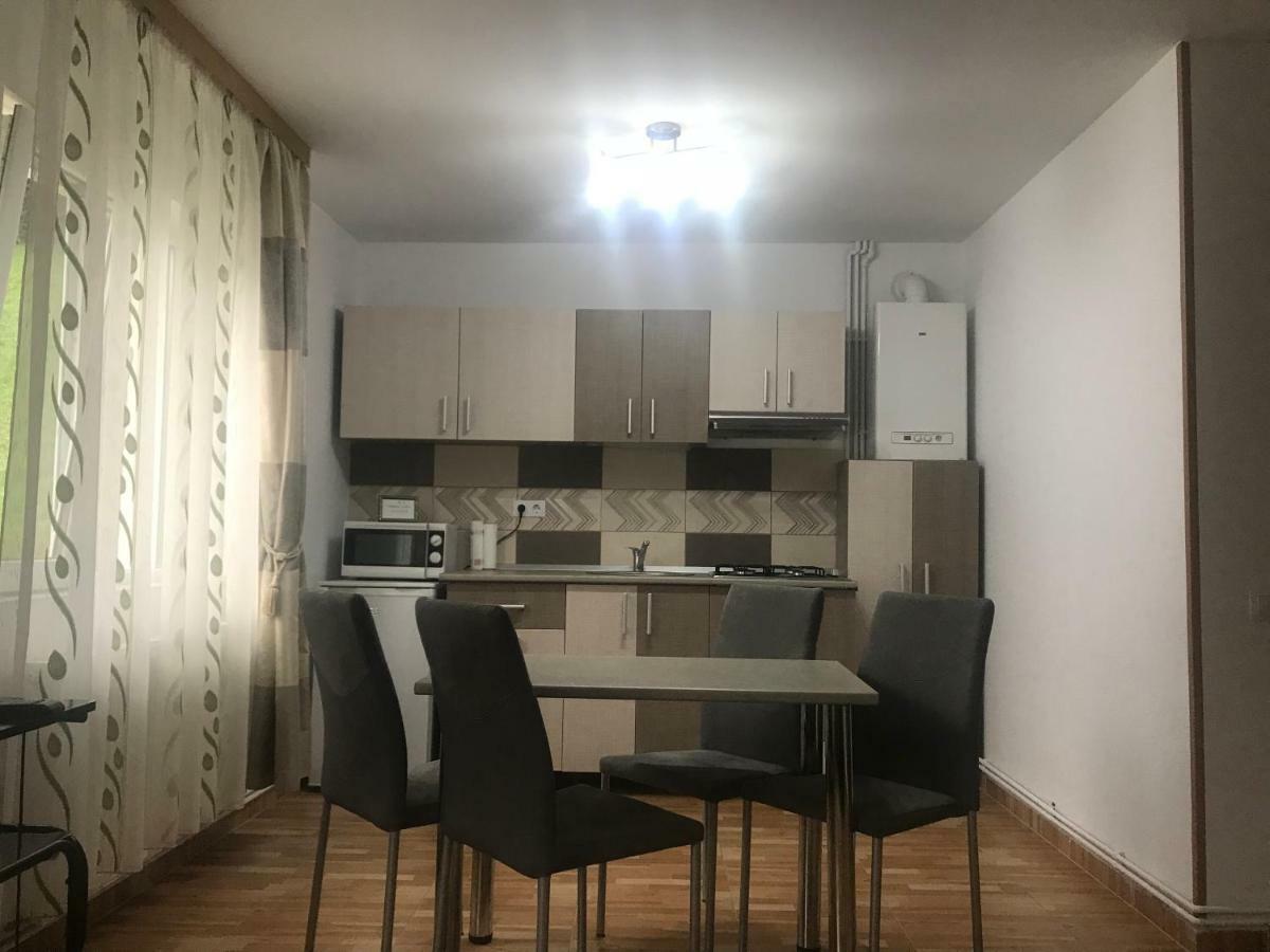 BuşteniGarsoniera Family公寓 外观 照片